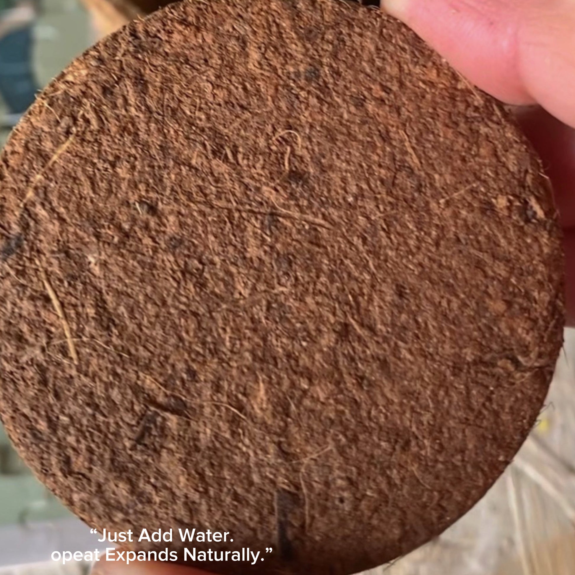 Cocopeat pellet for wheatgrass kits – natural compressed coconut fiber.