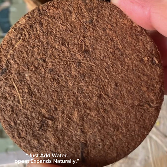 Cocopeat pellet for wheatgrass kits – natural compressed coconut fiber.