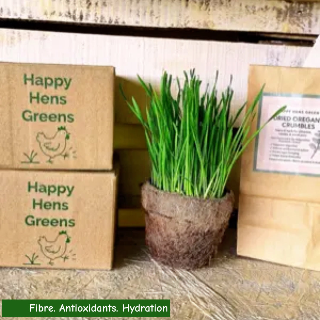 Oregano crumble mix for chickens, rabbits and guinea pigs – Greek-grown herb.