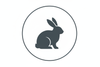 rabbit icon